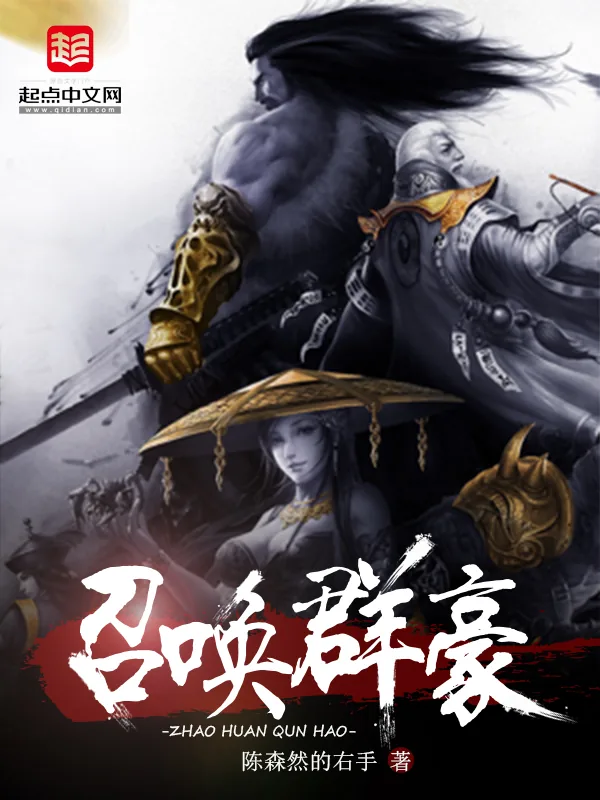 《召唤群豪》小说封面