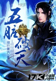 《五脏破天》小说封面