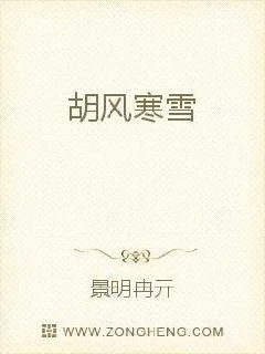 《胡风寒雪》小说封面