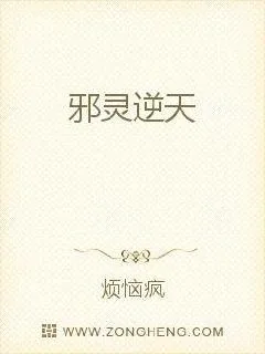 《邪灵逆天》小说封面