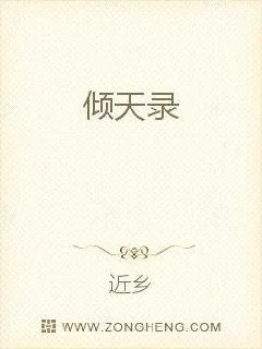 《倾天录》小说封面
