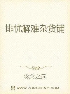 《排忧解难杂货铺》小说封面