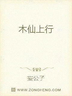 《木仙上行》小说封面