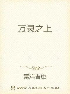 《万灵之上》小说封面