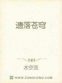 《遗落苍穹》小说封面