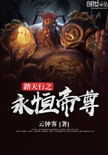 《踏天行之永恒帝尊》小说封面