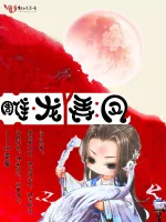 《雕龙弄凤》小说封面