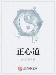 《正心道》小说封面