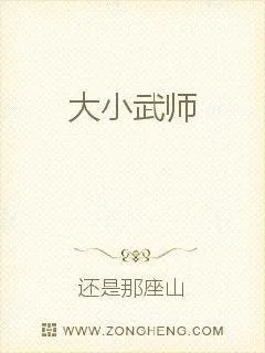 《大小武师》小说封面