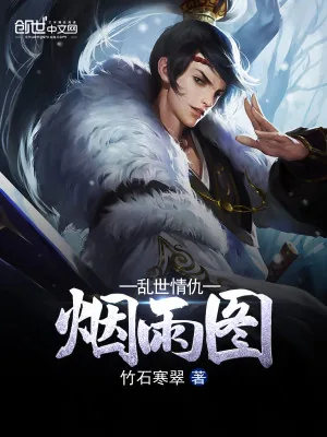 《乱世情仇烟雨图》小说封面