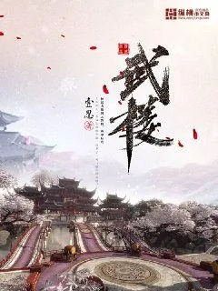 《武楼》小说封面