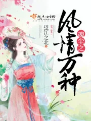 《魂尘之风情万种》小说封面