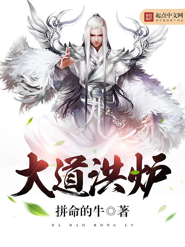 《大道洪炉》小说封面