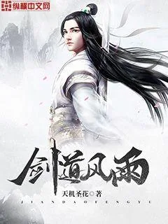 《剑道风雨》小说封面