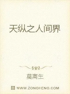 《天纵之人间界》小说封面