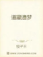 《道藏遗梦》小说封面