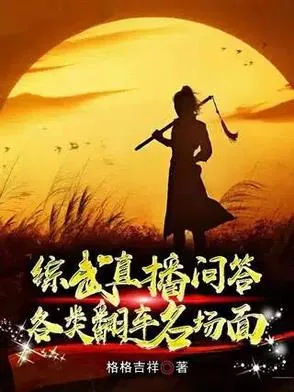 《综武问答:赵敏强吻,黄蓉送肚兜》小说封面