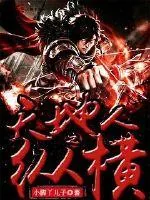 《天地人之纵横》小说封面