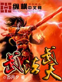 《武法武天》小说封面