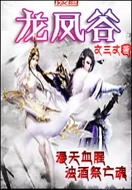 《龙凤谷》小说封面