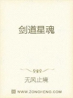 《剑道星魂》小说封面