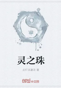 《灵之珠》小说封面