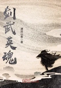 《剑武英魂》小说封面