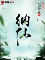 《纳仙》小说封面