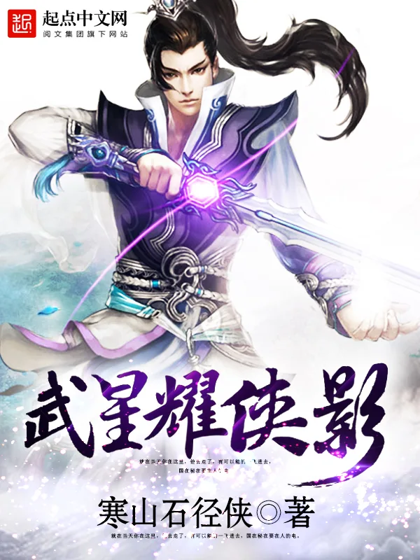 《武星耀侠影》小说封面