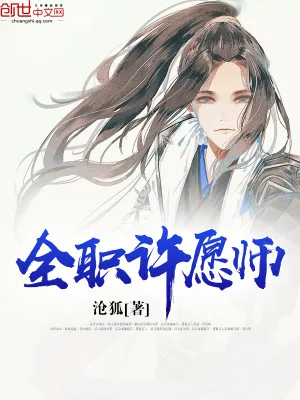 《全职许愿师》小说封面