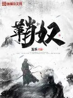 《鞘奴》小说封面