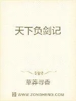 《天下负剑记》小说封面
