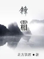 《锋霜》小说封面