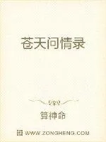 《苍天问情录》小说封面
