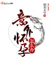 《意外怀孕怎么办》小说封面