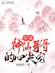 《穿成神仙哥哥的心尖宠》小说封面