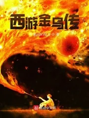 《西游金乌传》小说封面