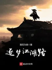 《逐梦江湖路》小说封面