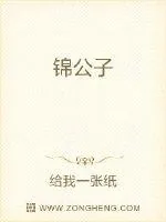 《锦公子》小说封面