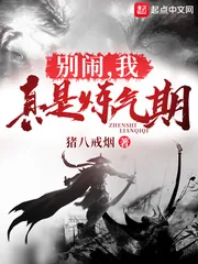 《别闹，我真是炼气期》小说封面