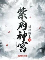 《紫府神宫》小说封面