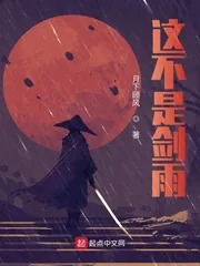 《这不是剑雨》小说封面