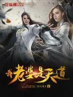 《我老婆是天道》小说封面