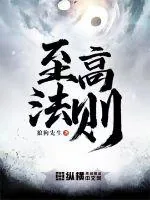 《至高法则》小说封面