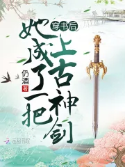 《穿书后她成了一把上古神剑》小说封面