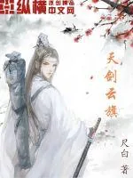 《天剑云旗》小说封面