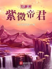 《洪荒紫微帝君》小说封面