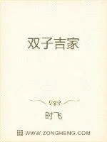 《双子吉家》小说封面