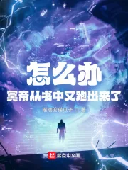 《怎么办，冥帝从书中又跑出来了》小说封面