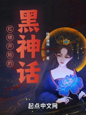 《红楼开始的黑神话》小说封面
